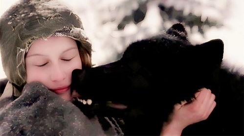 法国电影狼在线观看,法国惊悚电影，在线惊悚体验  第3张