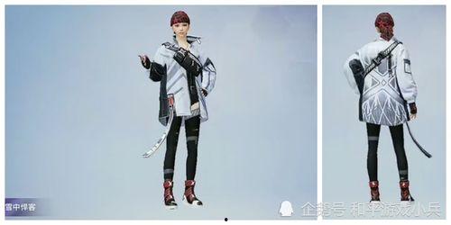 和平精英ss15手册爆料视频,全新内容抢先看，揭秘游戏新篇章  第3张